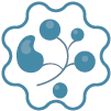 Lymphoma